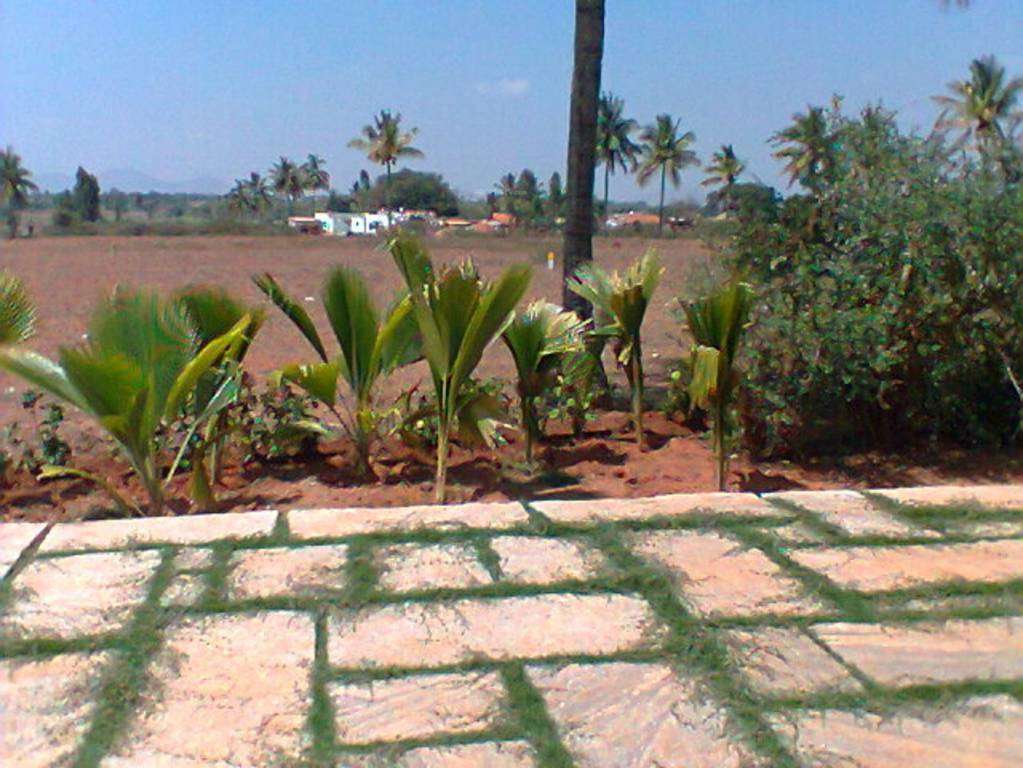 Images for Main Other of Shriram Godhuli