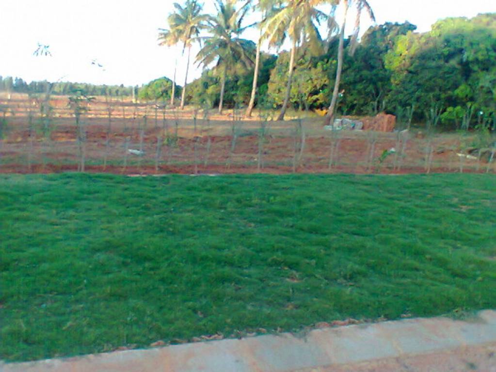 Images for Main Other of Shriram Godhuli