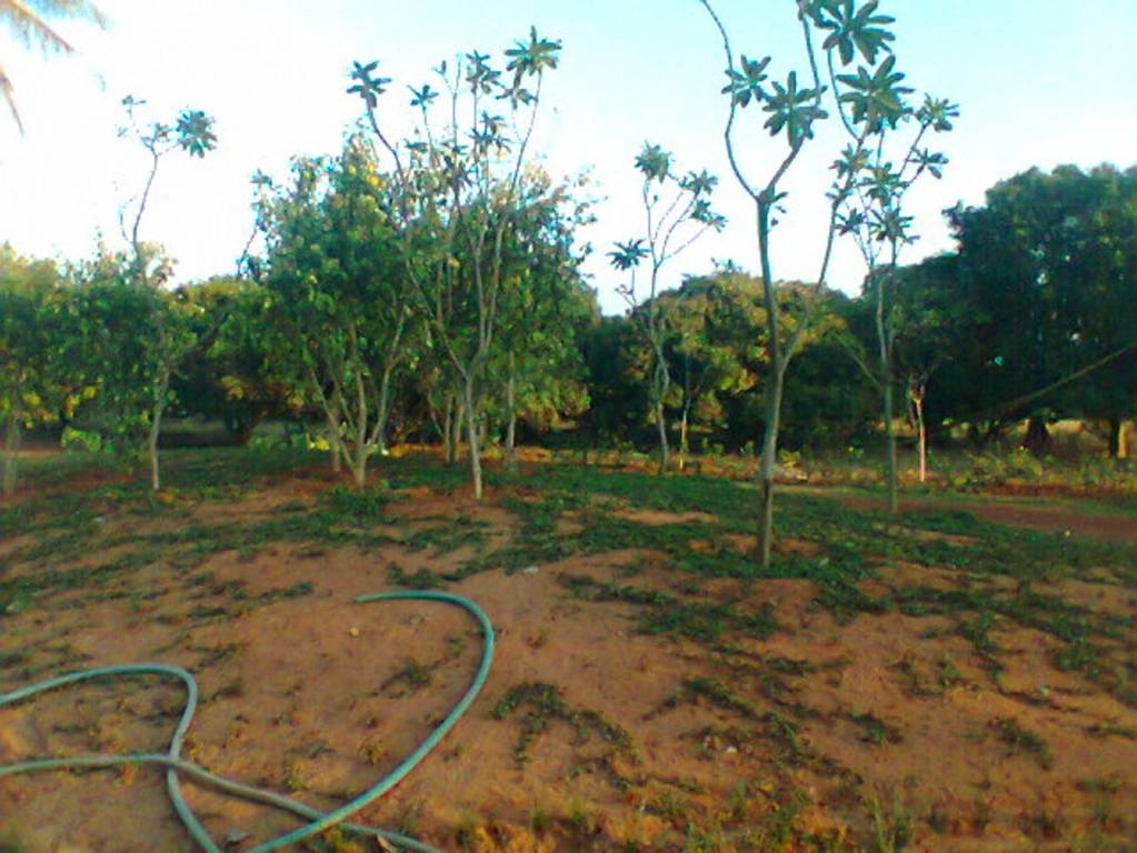 Images for Main Other of Shriram Godhuli