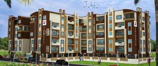 Images for Elevation of DS DSMAX SPRINGDALE