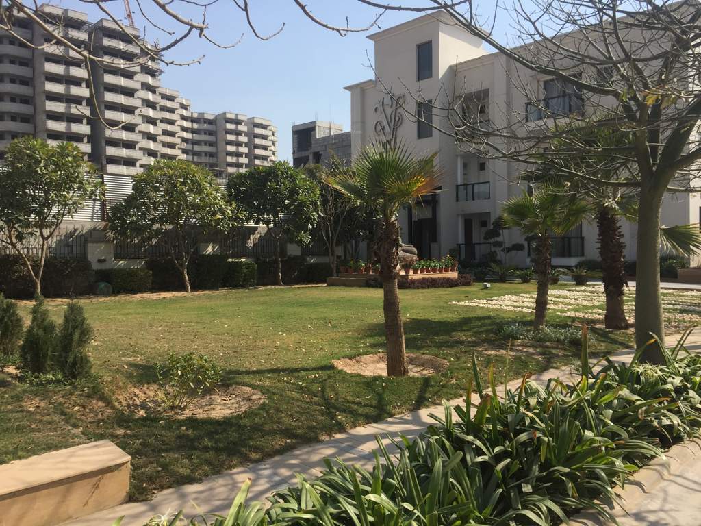  visionnaire homes Landscape Garden and Tree Planting