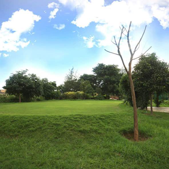  visionnaire homes Landscape Garden and Tree Planting