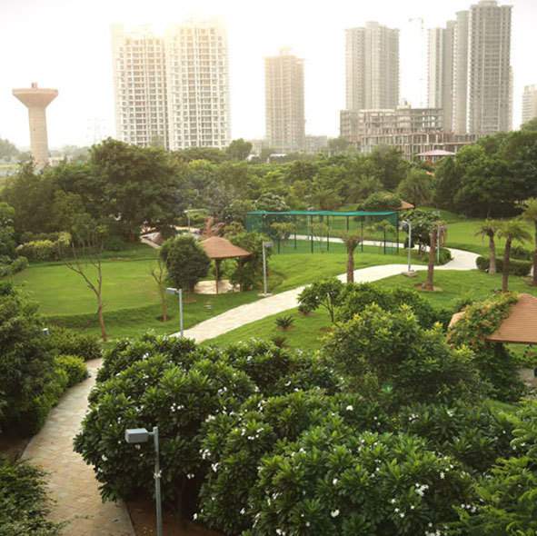  visionnaire homes Landscape Garden and Tree Planting