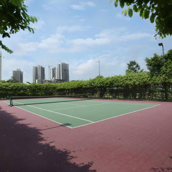  visionnaire homes Sports Area