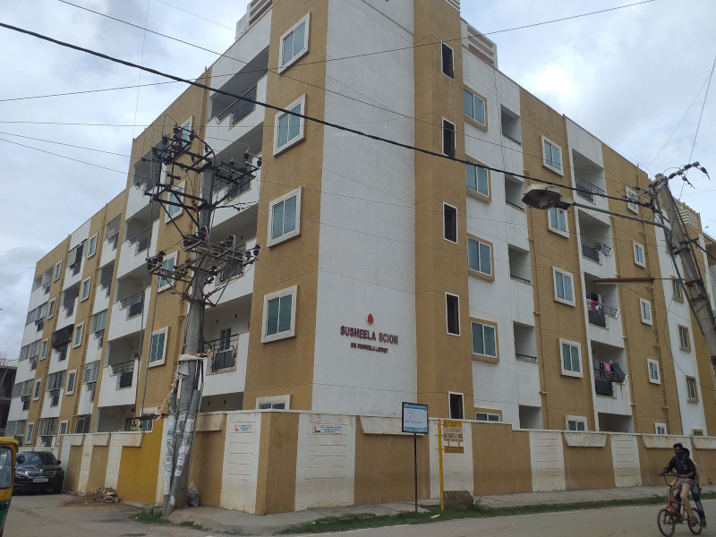 dsmax scion Elevation