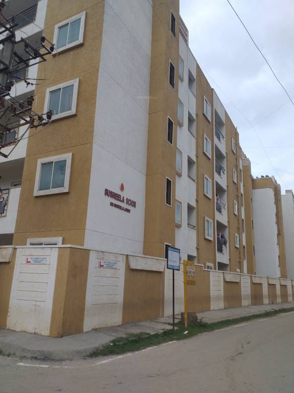 dsmax scion Elevation