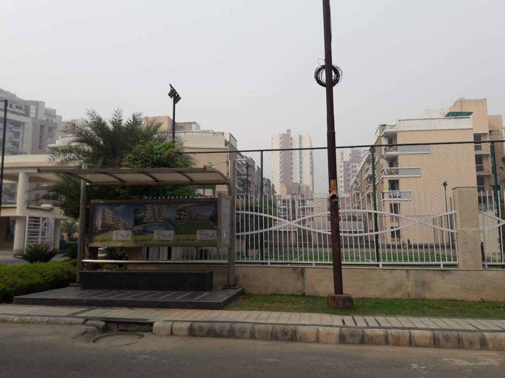  mystic greens Images for Project