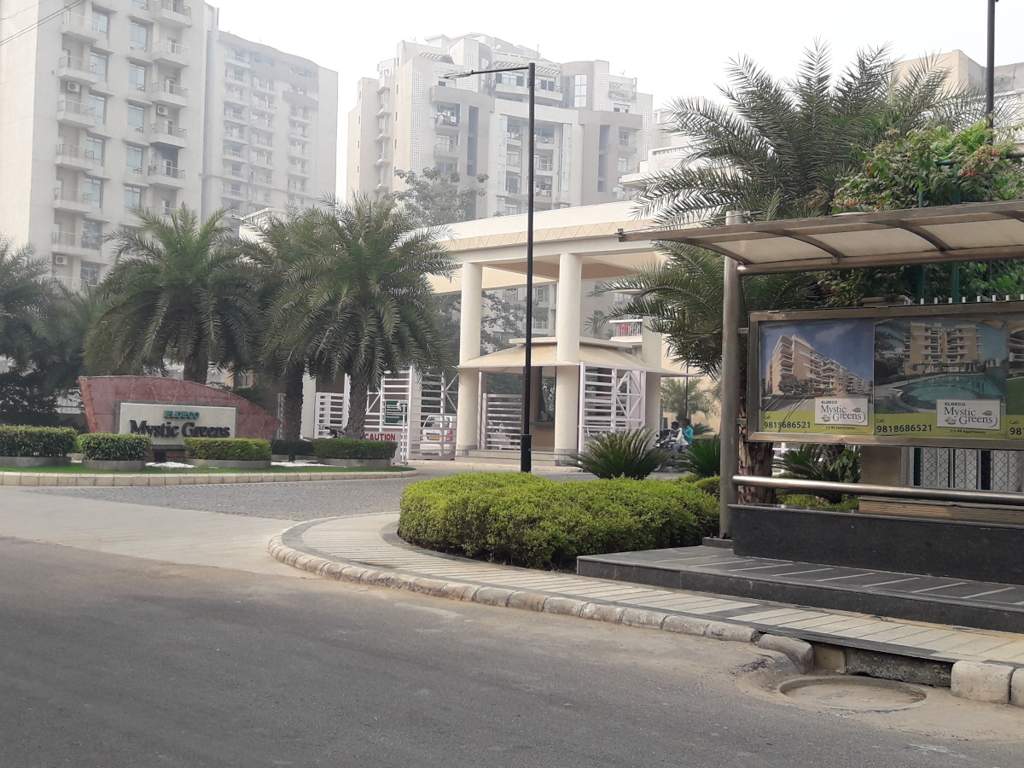  mystic greens Images for Project