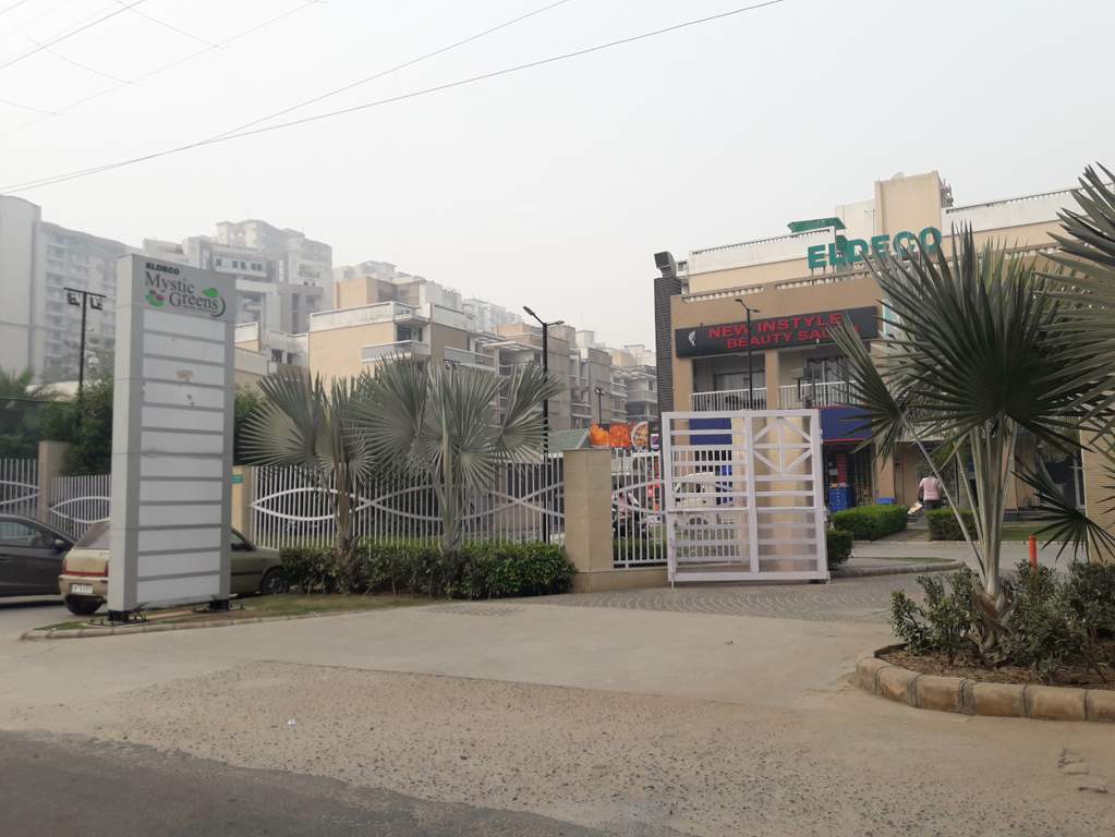  mystic greens Images for Project