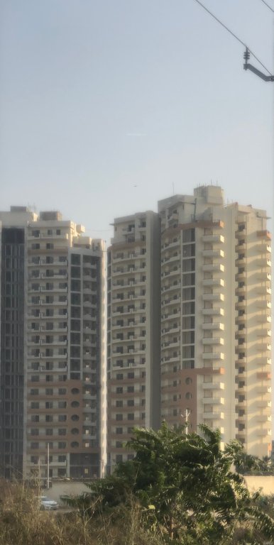 crown heights Images for Project