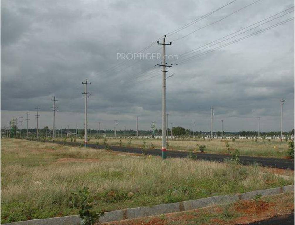 Images for Main Other of Dhammanagi Saffron Valley