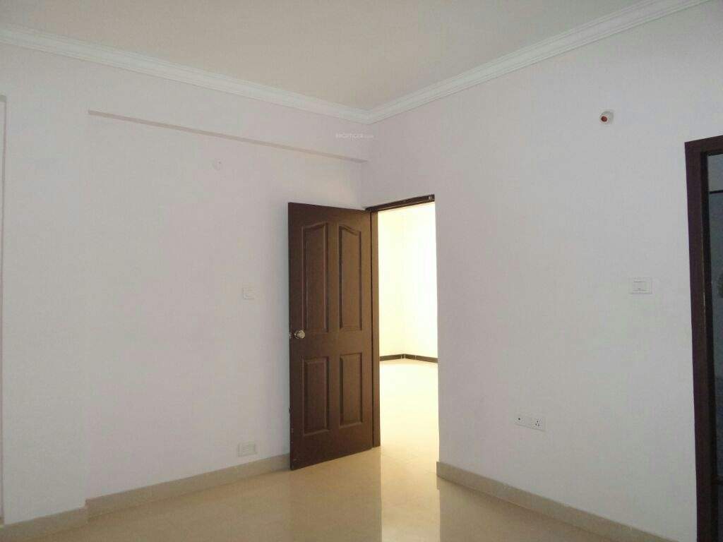 krrish Images for Main Other of Fortuna Krrish