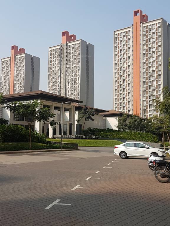  belmondo Images for Project