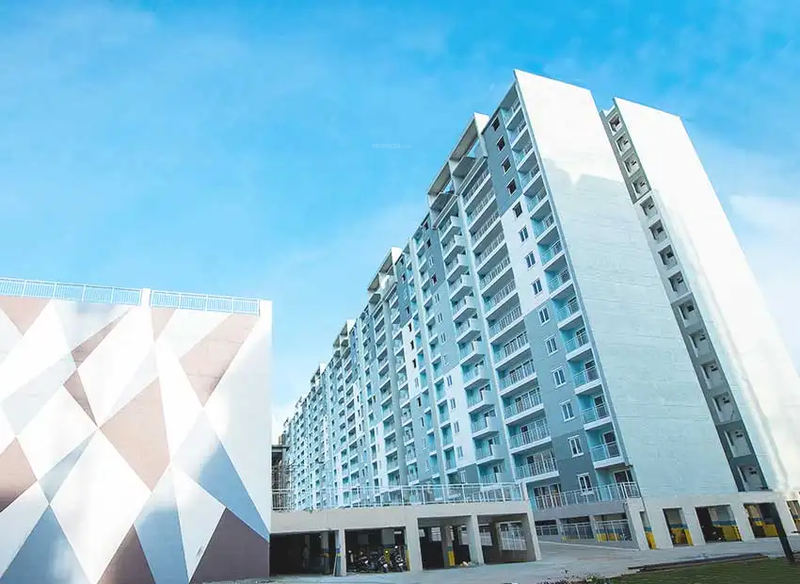 blue waters Elevation