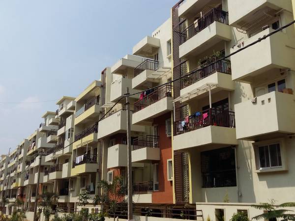 Images for Project palms Images for Project