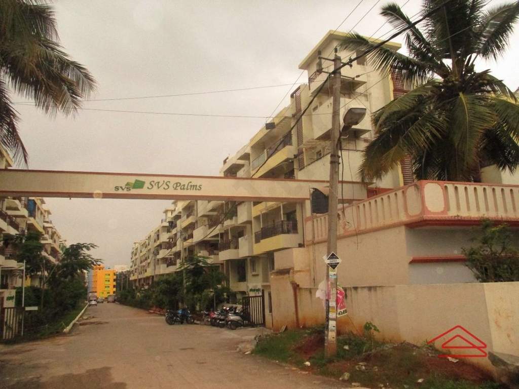  palms Images for Project