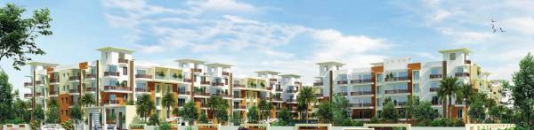 Images for Project palms Images for Project