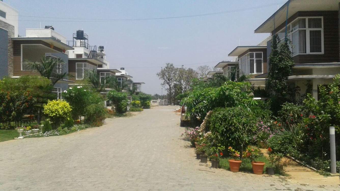 woods Images for Elevation of Pushpam Woods