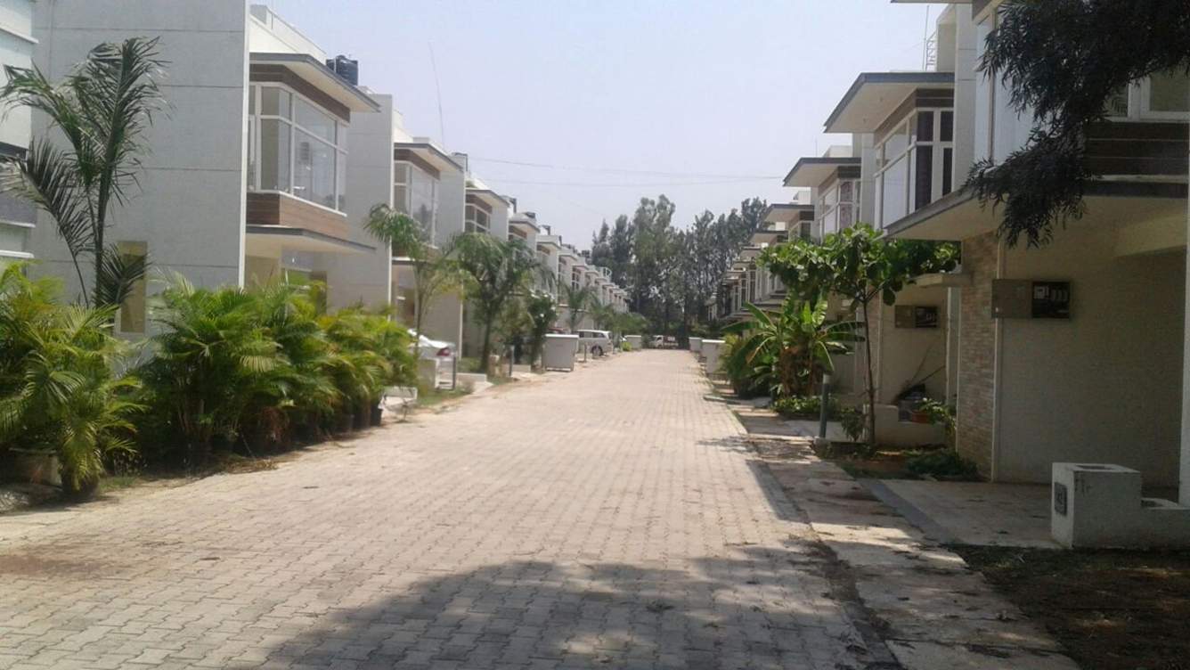 woods Images for Elevation of Pushpam Woods