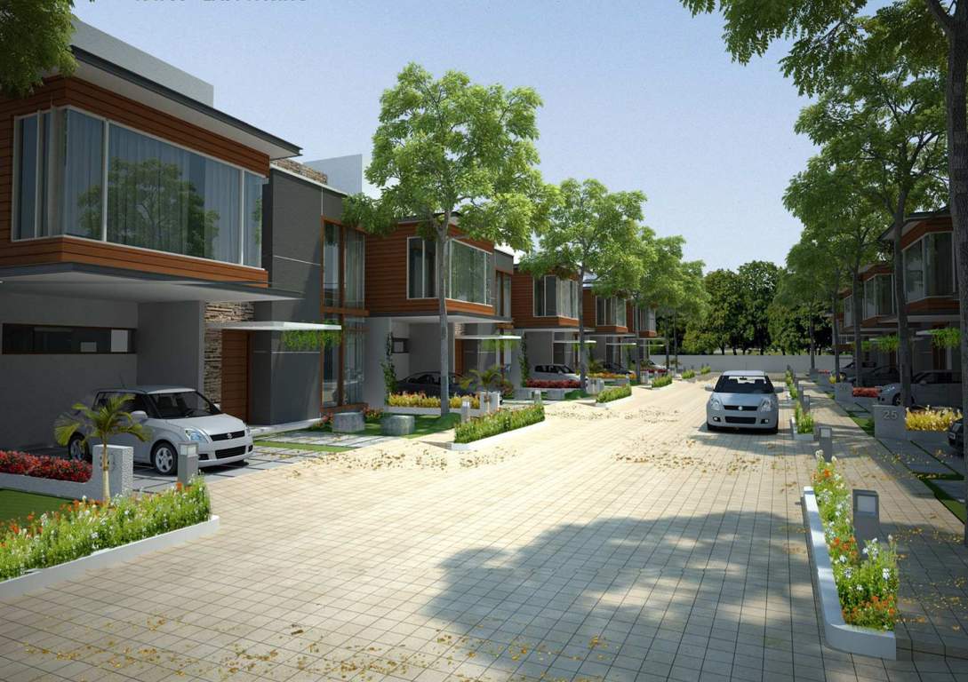 woods Images for Elevation of Pushpam Woods