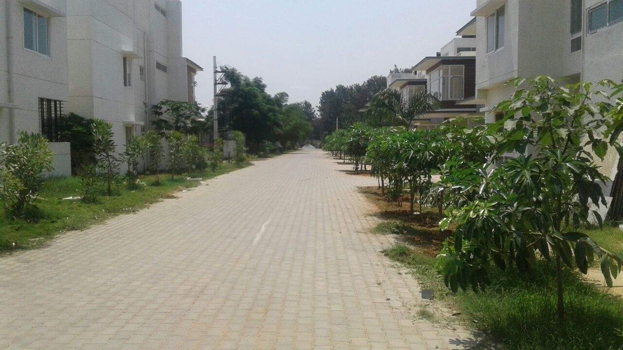 woods Images for Amenities of Pushpam Woods