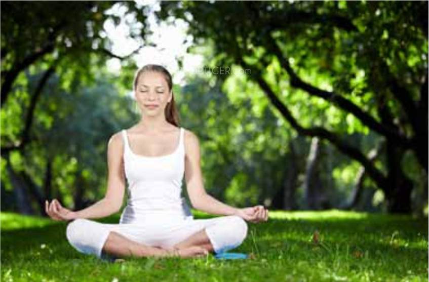 woods Images for Amenities of Pushpam Woods