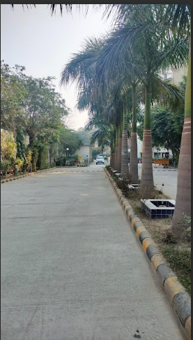 Others winter-hills Others