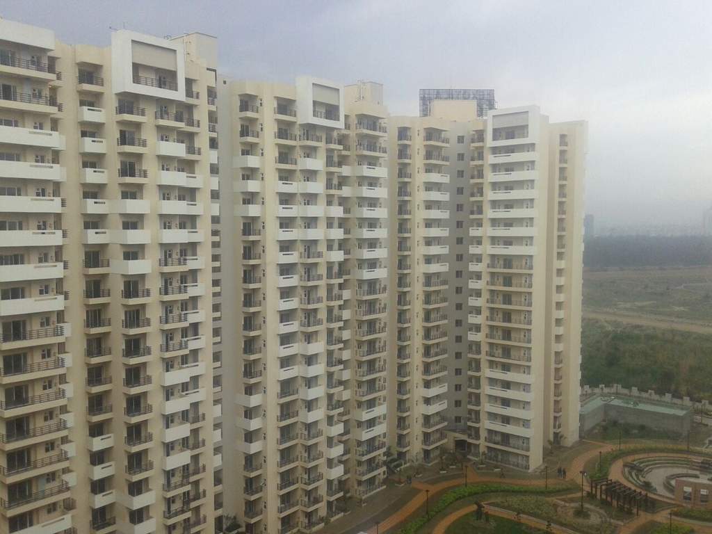 fresco Images for Elevation of Exotica Fresco