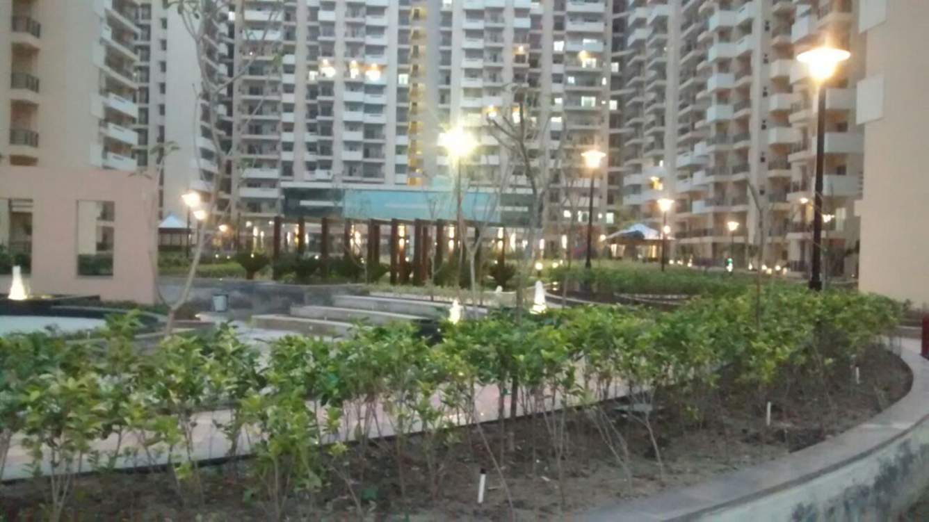 fresco Images for Elevation of Exotica Fresco