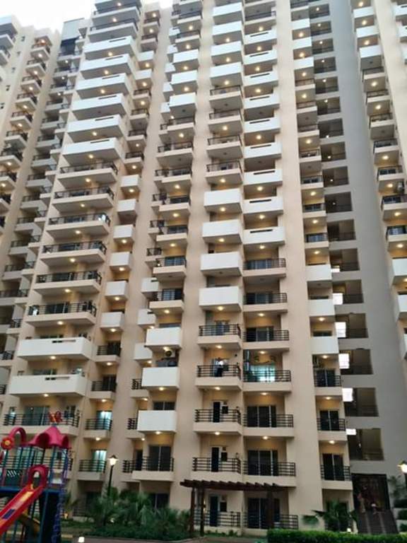 fresco Images for Elevation of Exotica Fresco