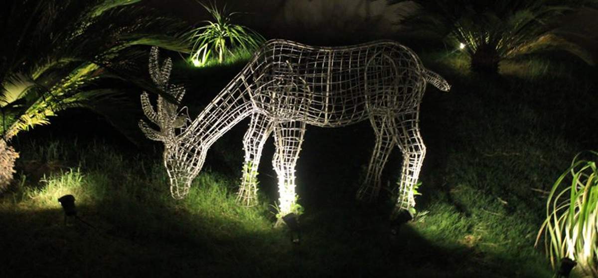 fresco Images for Amenities of Exotica Fresco