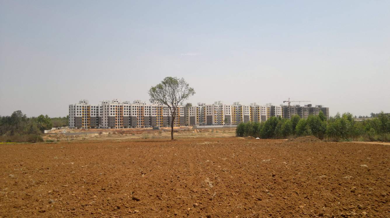 Images for Main Other of M And M Bangalore Health City