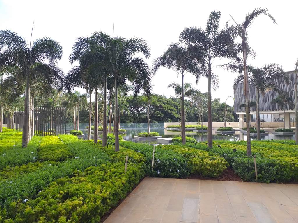  lake terraces Images for amenities