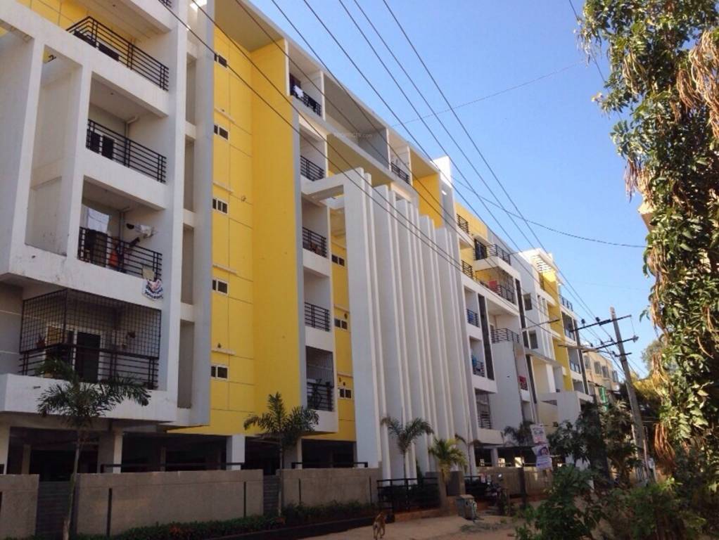 Images for Elevation of Fortuna White Wings