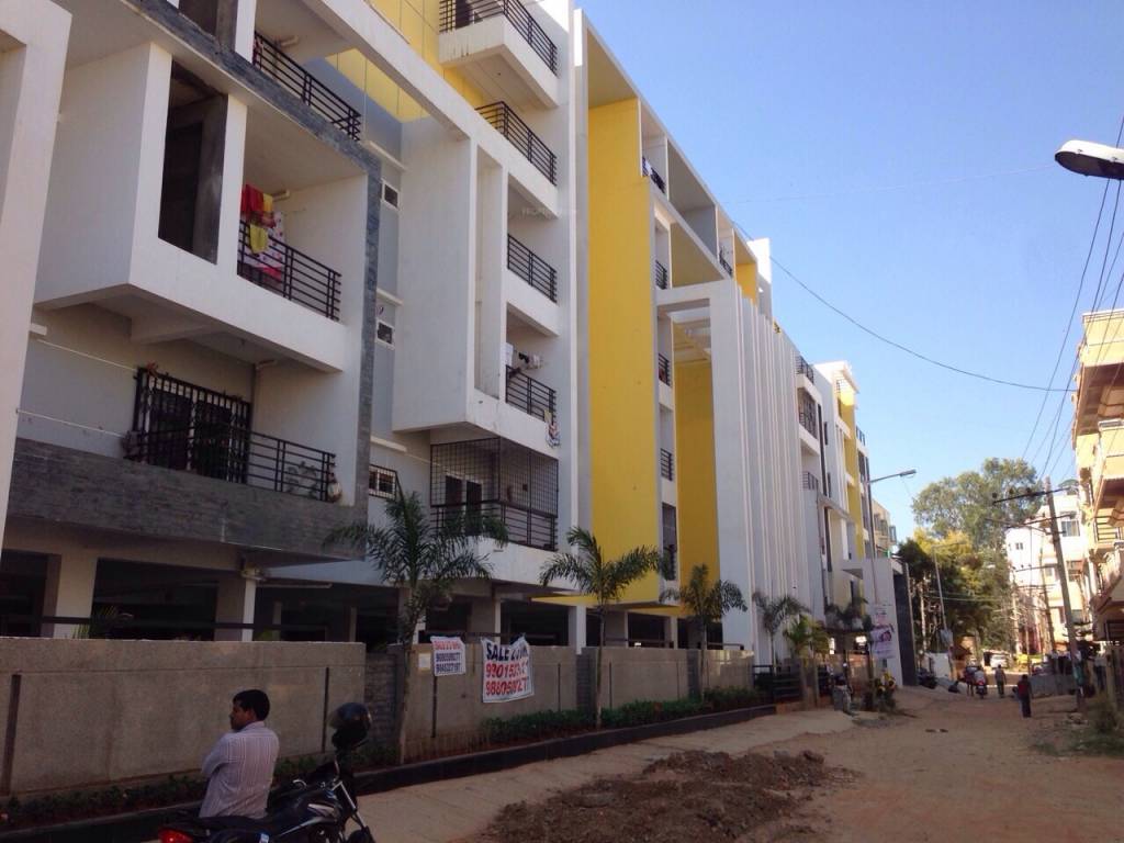 Images for Elevation of Fortuna White Wings