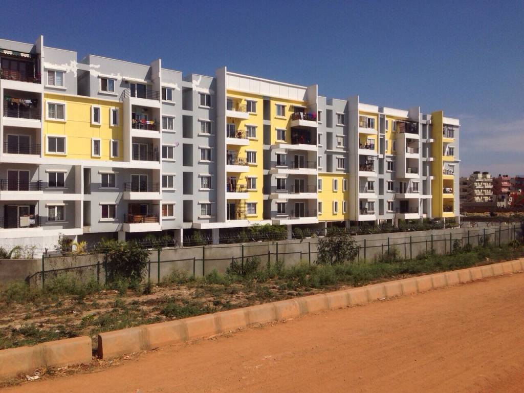 Images for Elevation of Fortuna White Wings