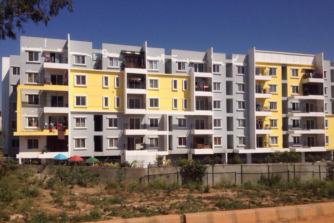 Images for Elevation of Fortuna White Wings