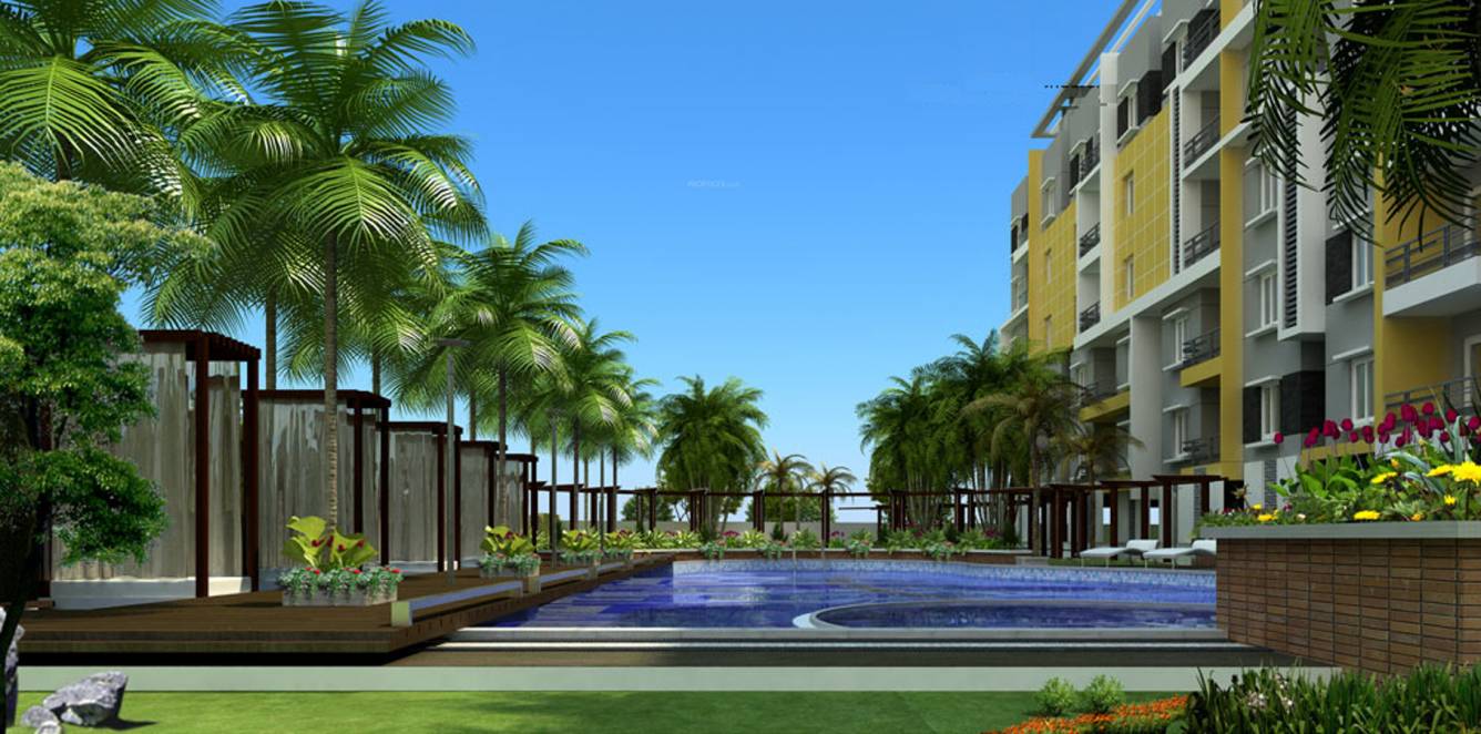 Images for Elevation of Fortuna White Wings