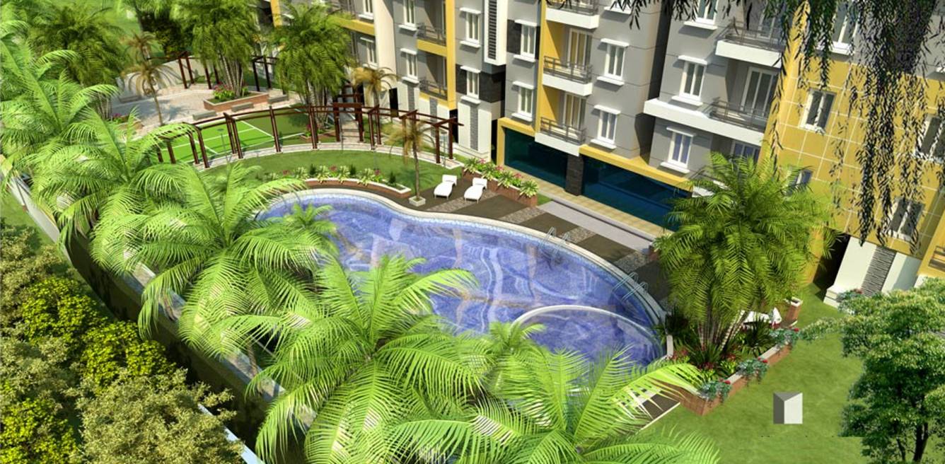 Images for Elevation of Fortuna White Wings