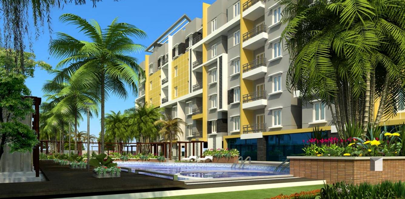 Images for Elevation of Fortuna White Wings