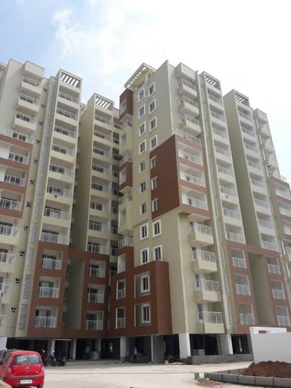 shilpitha sunflower Images for Project