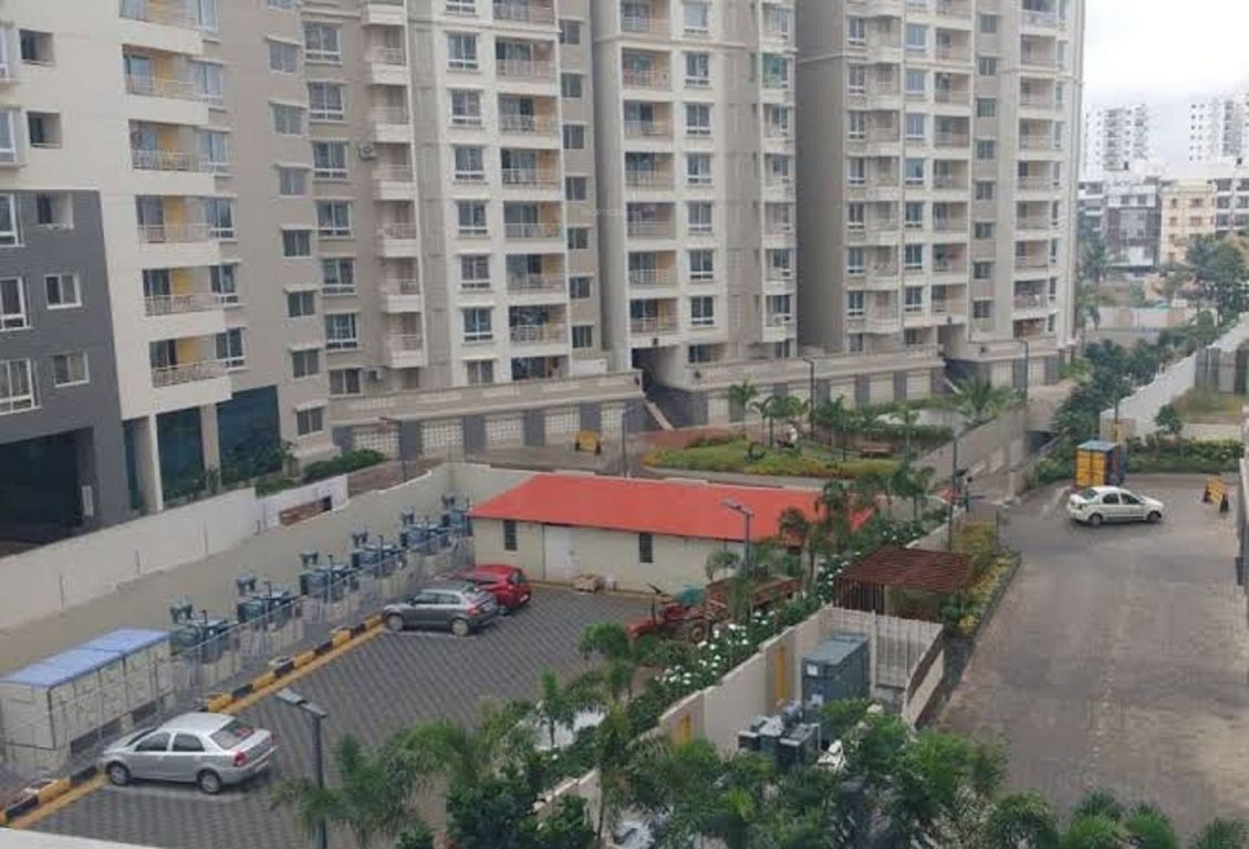 shilpitha sunflower Images for Project