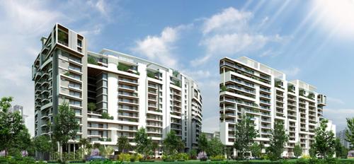  shelton Images for Elevation of Citrus Shelton