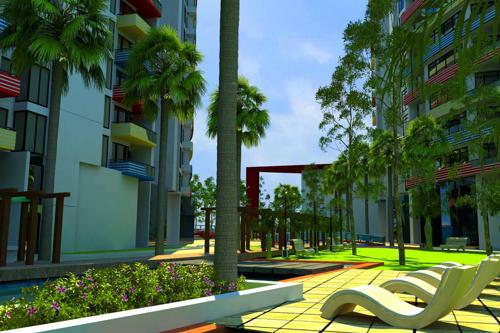  shelton Images for Elevation of Citrus Shelton