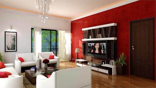  shelton Images for Main Other of Citrus Shelton