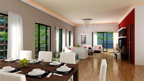  shelton Images for Main Other of Citrus Shelton