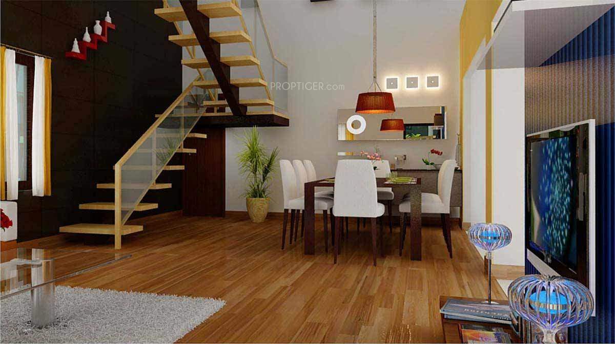  shelton Images for Main Other of Citrus Shelton