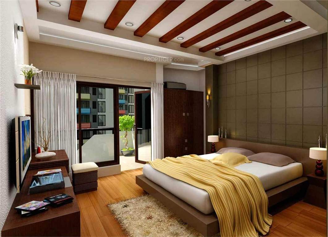  shelton Images for Main Other of Citrus Shelton