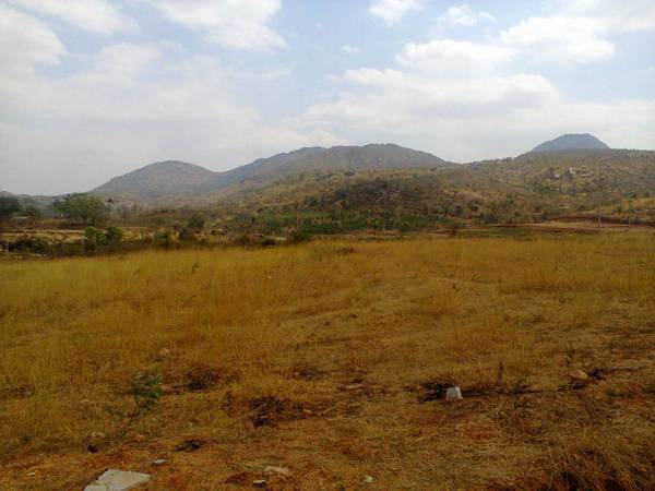 Images for Main Other of LG Tranquil Woods Images for Main Other of LG Tranquil Woods