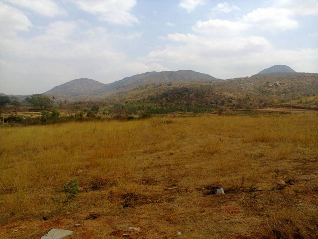 Images for Main Other of LG Tranquil Woods